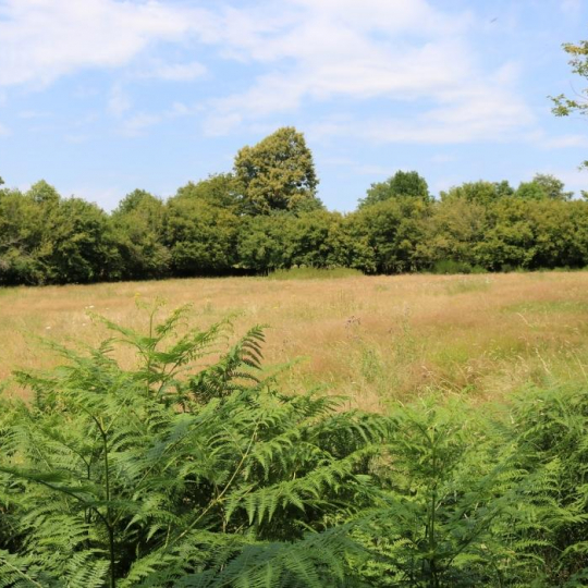  BOUSSAC IMMOBILIER : Maison / Villa | AIGURANDE (36140) | 165 m2 | 35 500 € 