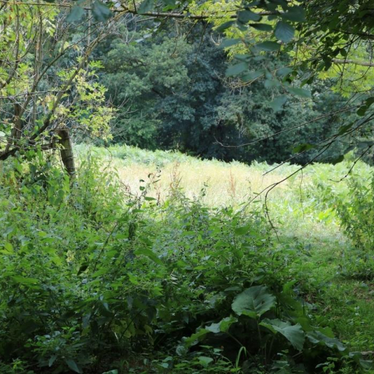  BOUSSAC IMMOBILIER : Maison / Villa | AIGURANDE (36140) | 165 m2 | 35 500 € 