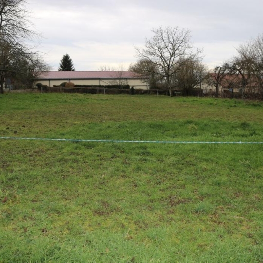  BOUSSAC IMMOBILIER : Terrain | BETETE (23270) | 0 m2 | 10 000 € 