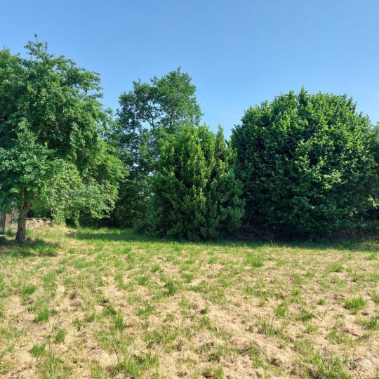  BOUSSAC IMMOBILIER : Terrain | BOUSSAC (23600) | 0 m2 | 10 000 € 