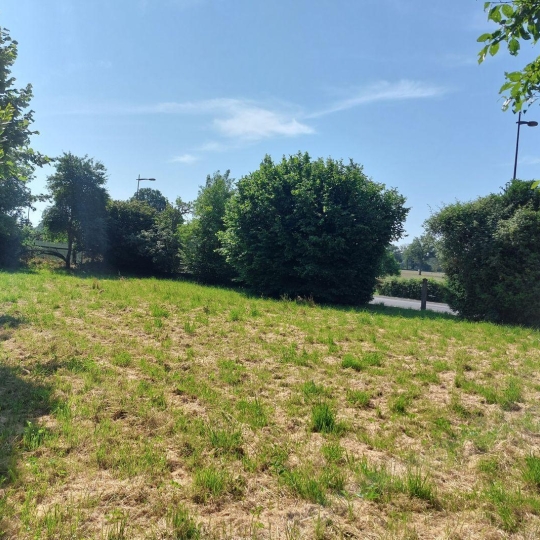  BOUSSAC IMMOBILIER : Terrain | BOUSSAC (23600) | 0 m2 | 10 000 € 