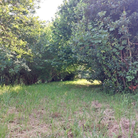  BOUSSAC IMMOBILIER : Terrain | BOUSSAC (23600) | 0 m2 | 10 000 € 