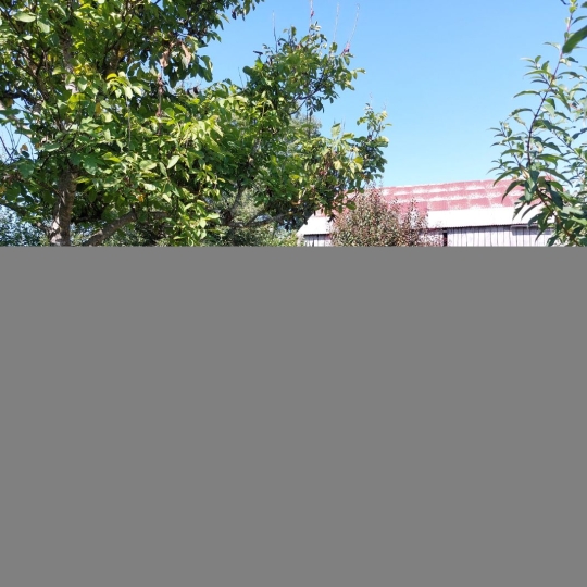  BOUSSAC IMMOBILIER : Maison / Villa | BORD-SAINT-GEORGES (23230) | 94 m2 | 93 000 € 