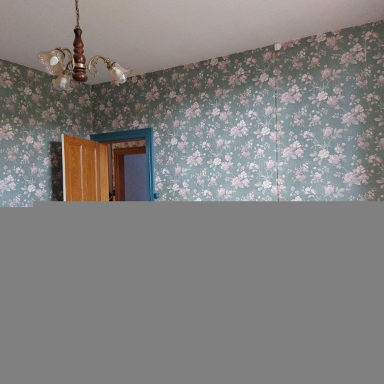  BOUSSAC IMMOBILIER : House | BUSSIERE-NOUVELLE (23700) | 144 m2 | 130 000 € 