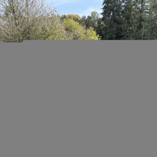  BOUSSAC IMMOBILIER : Maison / Villa | BOUSSAC (23600) | 91 m2 | 72 500 € 