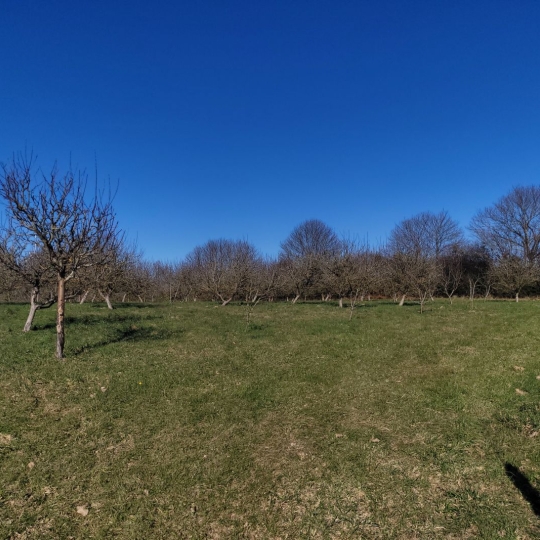  BOUSSAC IMMOBILIER : Maison / Villa | BOUSSAC-BOURG (23600) | 180 m2 | 325 500 € 