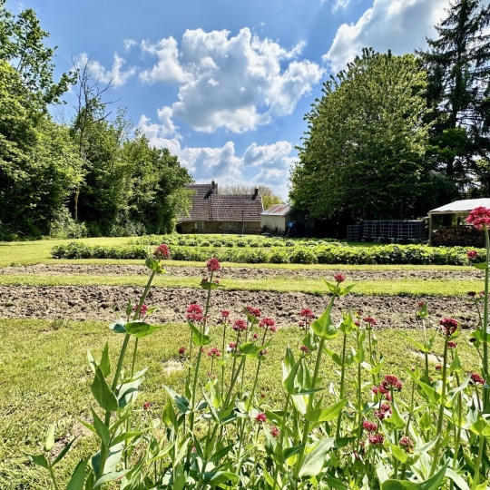  BOUSSAC IMMOBILIER : Maison / Villa | NOUZERINES (23600) | 110 m2 | 103 500 € 