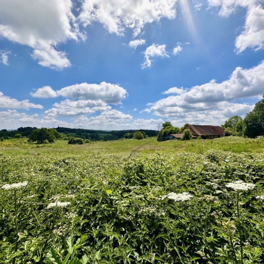  BOUSSAC IMMOBILIER : Maison / Villa | BOUSSAC-BOURG (23600) | 77 m2 | 39 000 € 