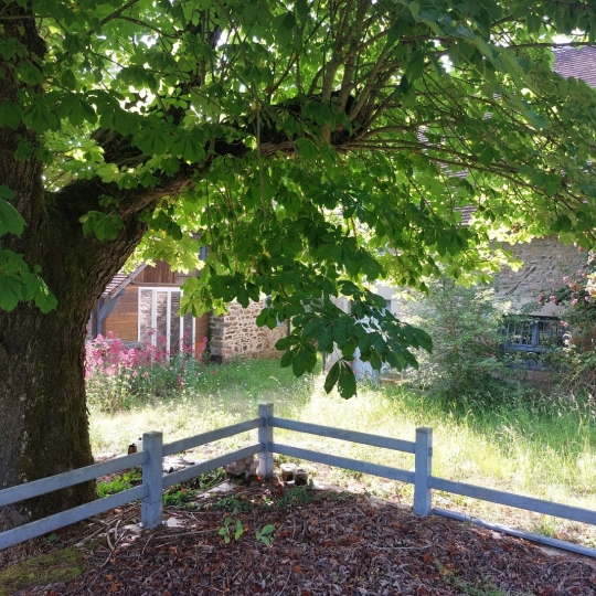  BOUSSAC IMMOBILIER : Maison / Villa | SAINT-DIZIER-LES-DOMAINES (23270) | 209 m2 | 257 000 € 