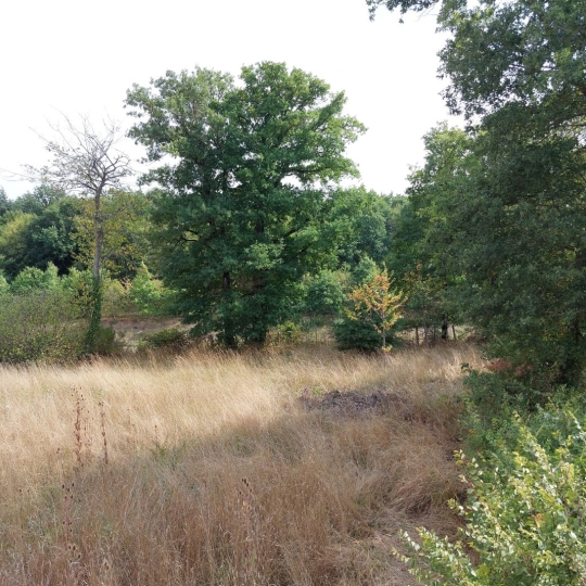  BOUSSAC IMMOBILIER : Maison / Villa | AUGE (23170) | 82 m2 | 40 000 € 