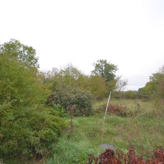  BOUSSAC IMMOBILIER : Maison / Villa | GOUZON (23230) | 60 m2 | 35 500 € 