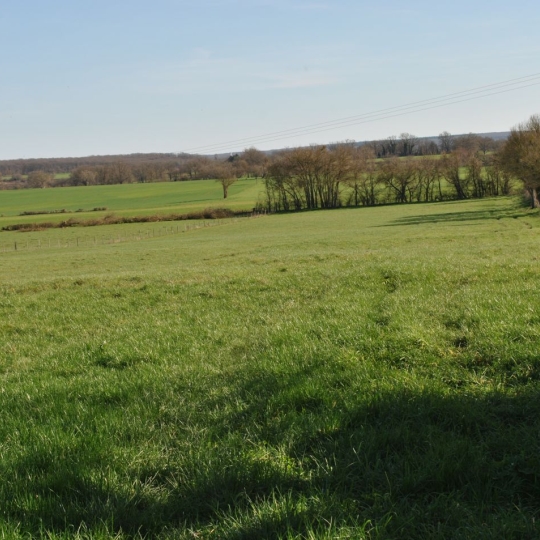  BOUSSAC IMMOBILIER : House | CHATEAUMEILLANT (18370) | 92 m2 | 194 250 &euro; 