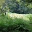 BOUSSAC IMMOBILIER : Maison / Villa | AIGURANDE (36140) | 165 m2 | 35 500 € 