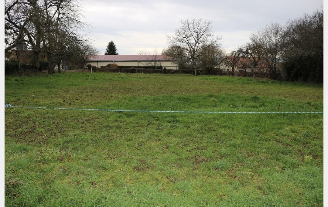 BOUSSAC IMMOBILIER : Terrain | BETETE (23270) | 0 m2 | 10 000 € 