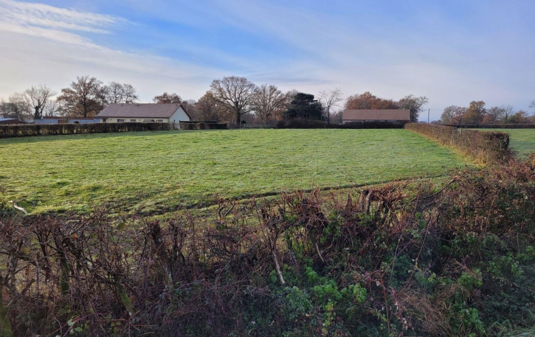 BOUSSAC IMMOBILIER : Terrain | SAINT-SAUVIER (03370) | 4 210 m2 | 32 000 € 