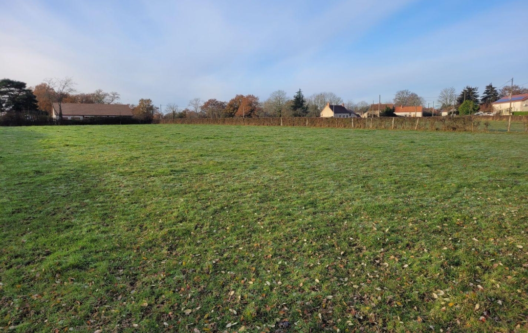 BOUSSAC IMMOBILIER : Terrain | SAINT-SAUVIER (03370) | 4 210 m2 | 32 000 € 