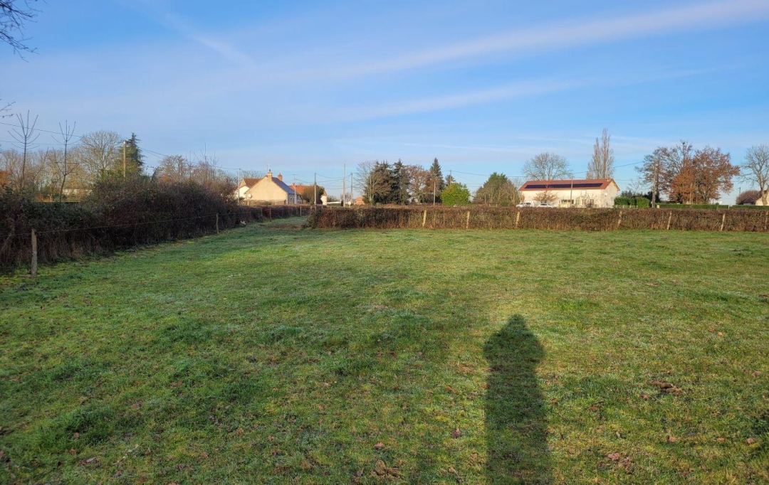 BOUSSAC IMMOBILIER : Terrain | SAINT-SAUVIER (03370) | 4 210 m2 | 32 000 € 