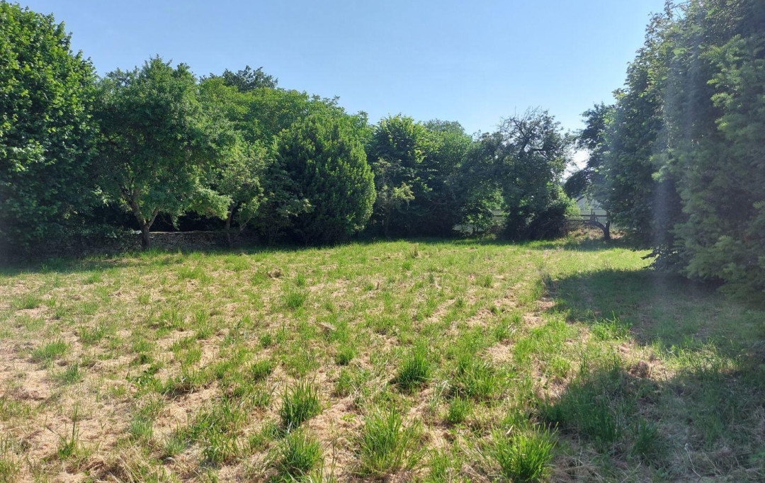 BOUSSAC IMMOBILIER : Terrain | BOUSSAC (23600) | 0 m2 | 10 000 € 