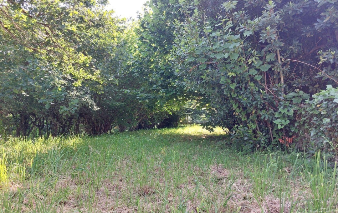 BOUSSAC IMMOBILIER : Terrain | BOUSSAC (23600) | 0 m2 | 10 000 € 