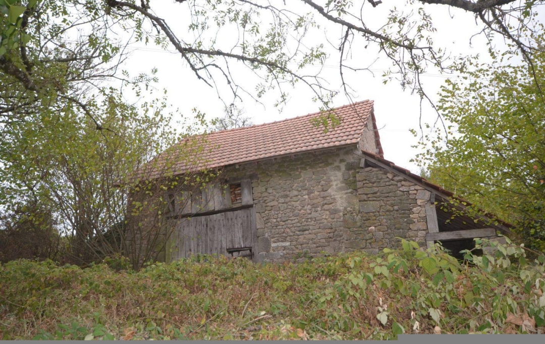 BOUSSAC IMMOBILIER : Maison / Villa | TOULX-SAINTE-CROIX (23600) | 141 m2 | 67 000 € 