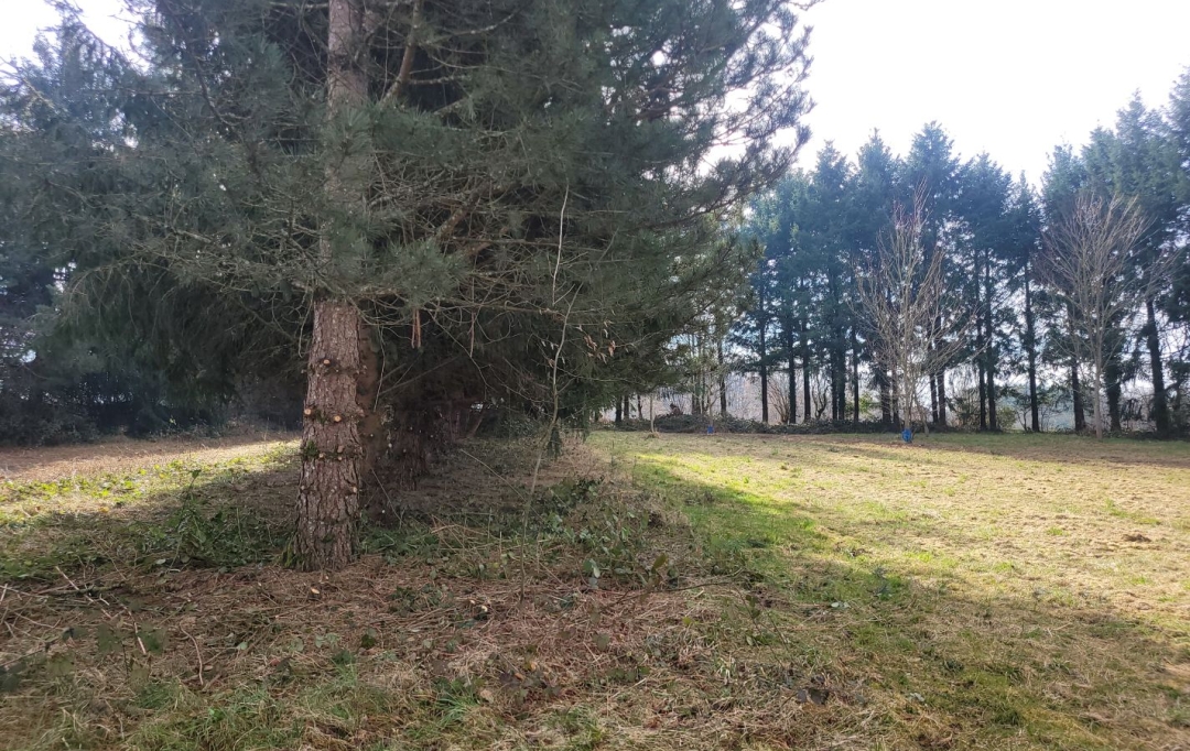 BOUSSAC IMMOBILIER : Maison / Villa | SAINT-MARIEN (23600) | 149 m2 | 55 500 € 