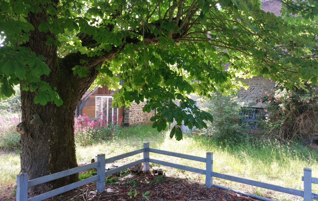 BOUSSAC IMMOBILIER : Maison / Villa | SAINT-DIZIER-LES-DOMAINES (23270) | 209 m2 | 257 000 € 