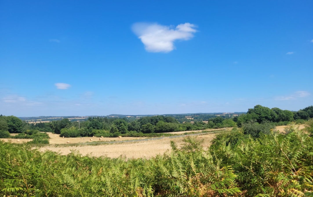 BOUSSAC IMMOBILIER : House | SIDIAILLES (18270) | 88 m2 | 93 500 € 