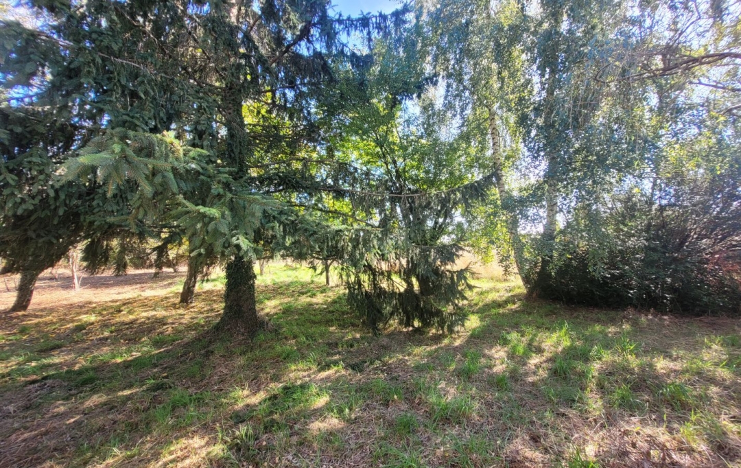 BOUSSAC IMMOBILIER : Maison / Villa | SAINT-PALAIS (03370) | 78 m2 | 66 000 &euro; 