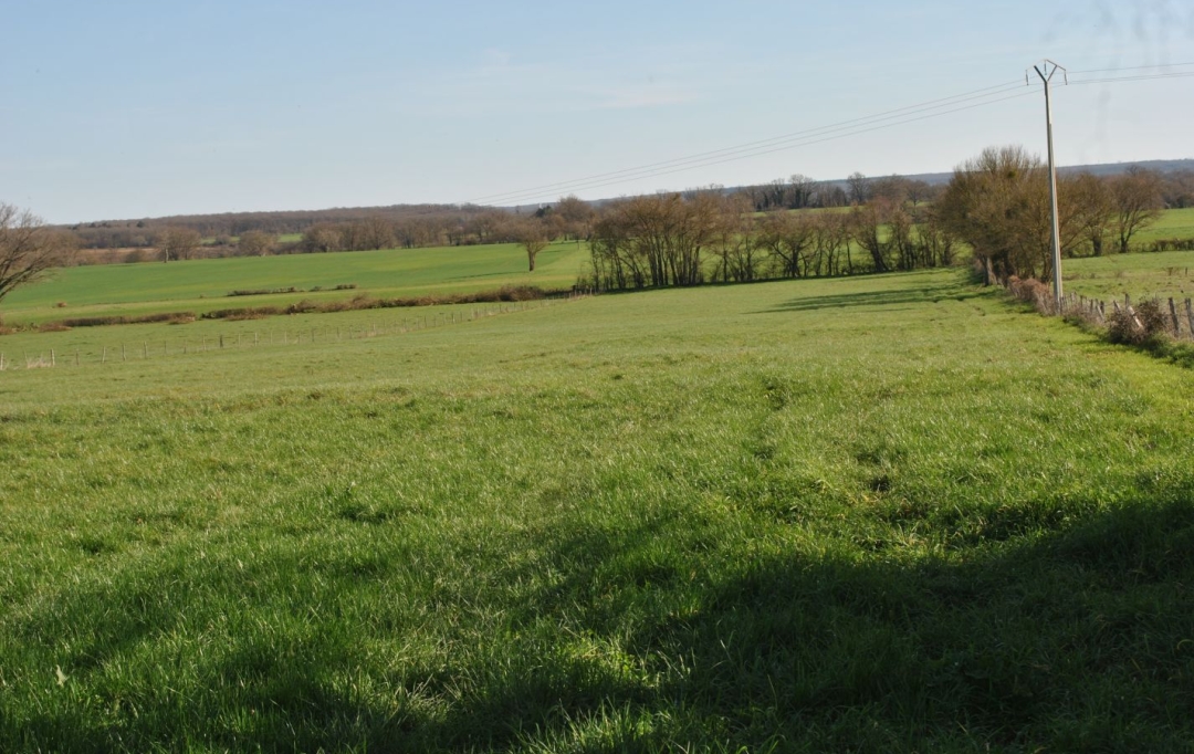 BOUSSAC IMMOBILIER : House | CHATEAUMEILLANT (18370) | 92 m2 | 194 250 &euro; 