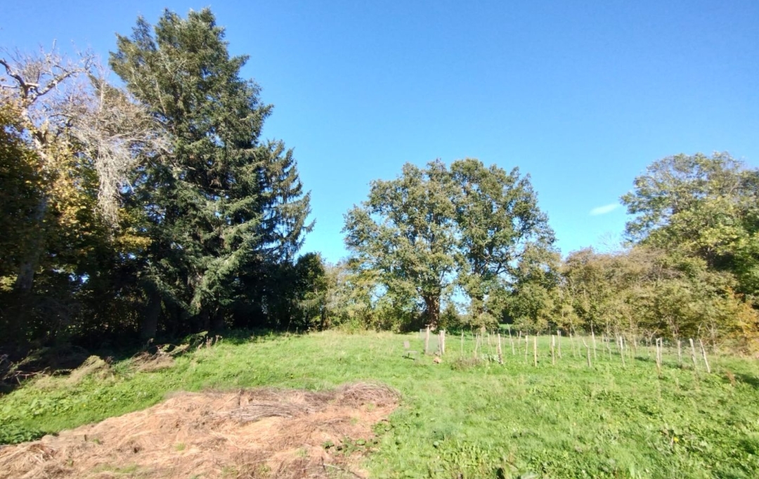 BOUSSAC IMMOBILIER : Maison / Villa | LA CELLETTE (23350) | 99 m2 | 90 000 &euro; 
