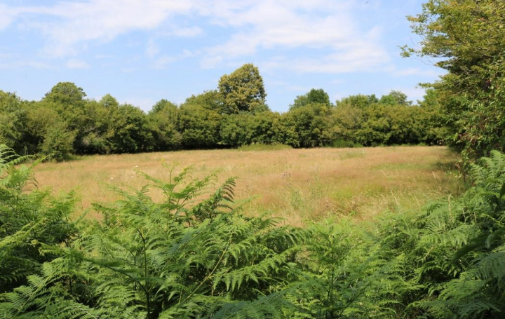 BOUSSAC IMMOBILIER : Maison / Villa | AIGURANDE (36140) | 165 m2 | 35 500 € 