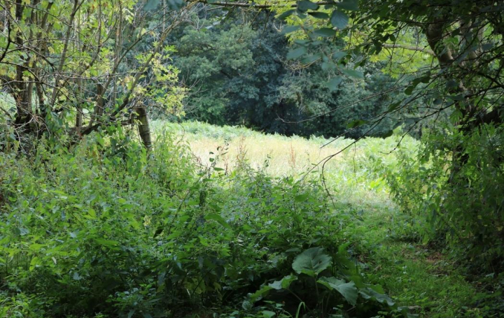 BOUSSAC IMMOBILIER : Maison / Villa | AIGURANDE (36140) | 165 m2 | 35 500 € 