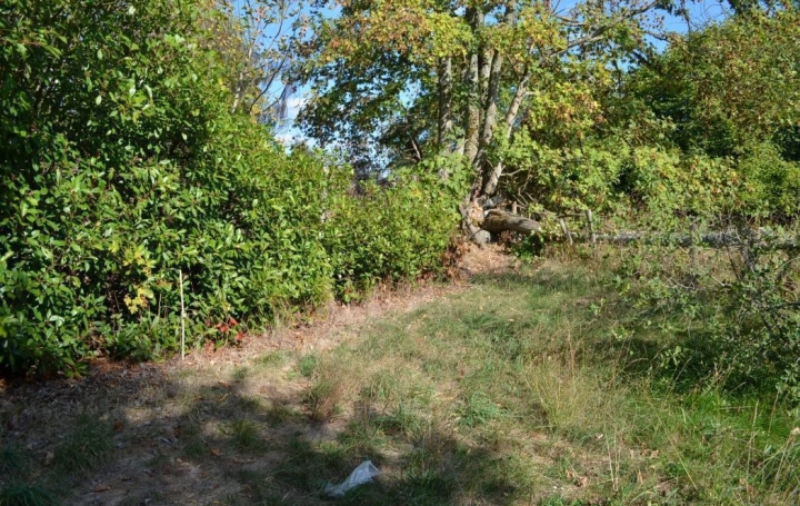 BOUSSAC IMMOBILIER : Maison / Villa | BORD-SAINT-GEORGES (23230) | 91 m2 | 35 500 € 