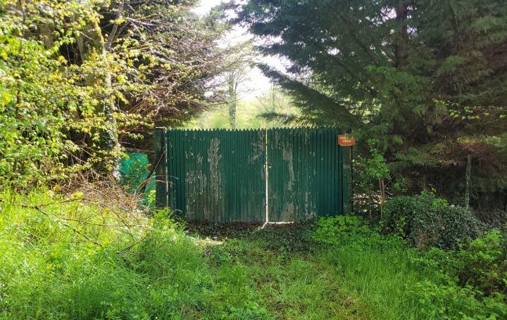 Terrain BETETE 2 584 m2 10 000 € Terrain BETETE 2 584 m2 10 000 €