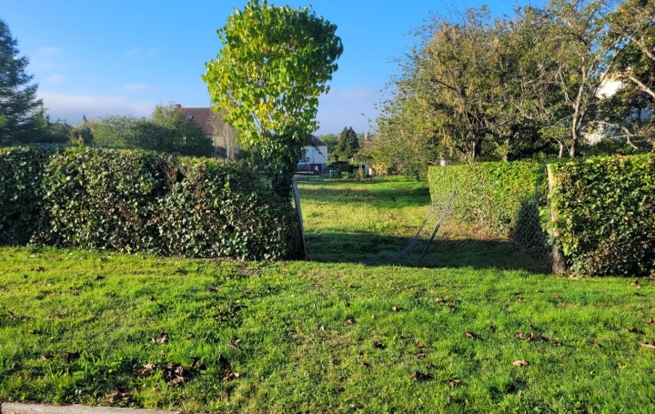  BOUSSAC IMMOBILIER Terrain | BOUSSAC (23600) | 0 m2 | 16 000 € 