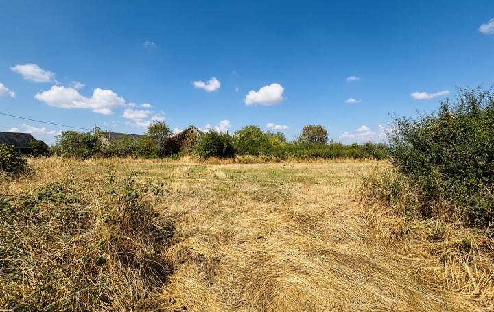 Terrain   SOUMANS   19 000 € 